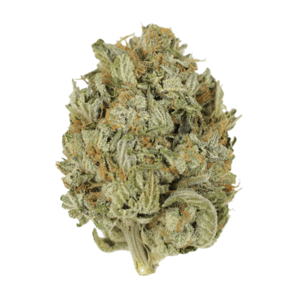 Blue Dream (Popcorn) | Haute Health Canada