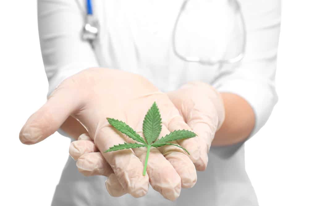 Cannabis as a natural cure for pain | Haute Health Canada