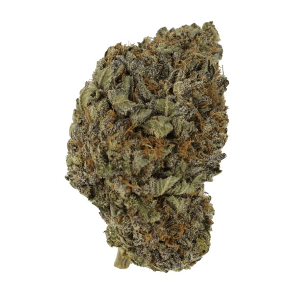 Black Diamond | Haute Health Canada