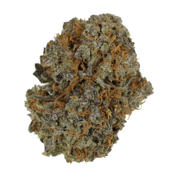 Jack Herer 1 Ounce | Haute Health Canada