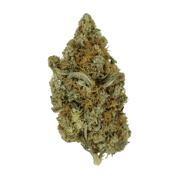 Jack Herer 1 Ounce | Haute Health Canada