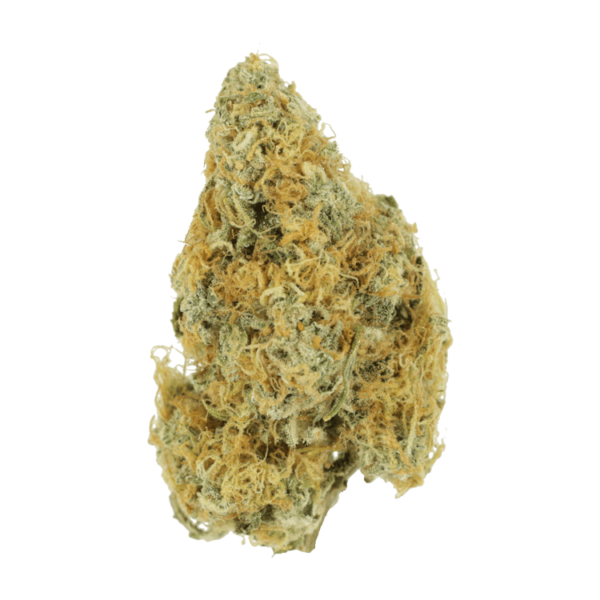 Alien OG (Popcorn) – 2OZ/$69 | Haute Health Canada