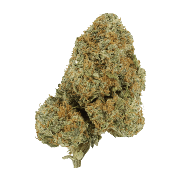 Blue Rhino | Haute Health Canada