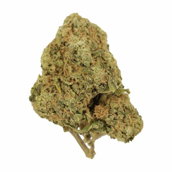 Tangerine Dream | Haute Health Canada