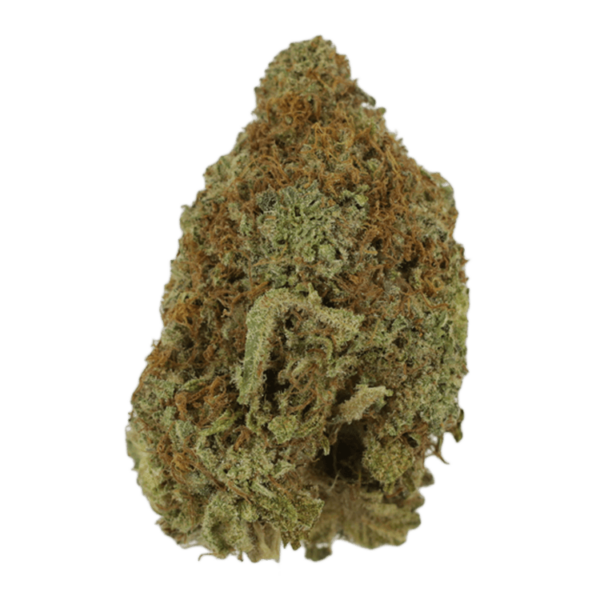 Mango Haze | Haute Health Canada