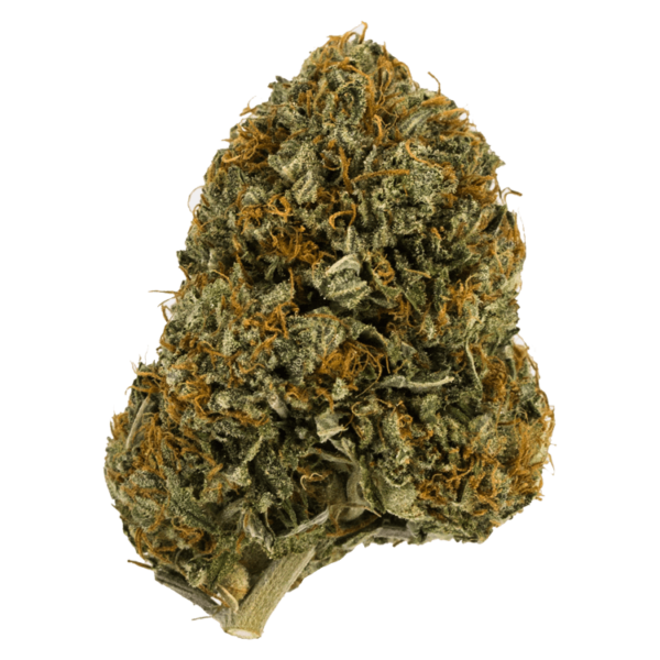 Wifi OG – 1 ounce | Haute Health Canada