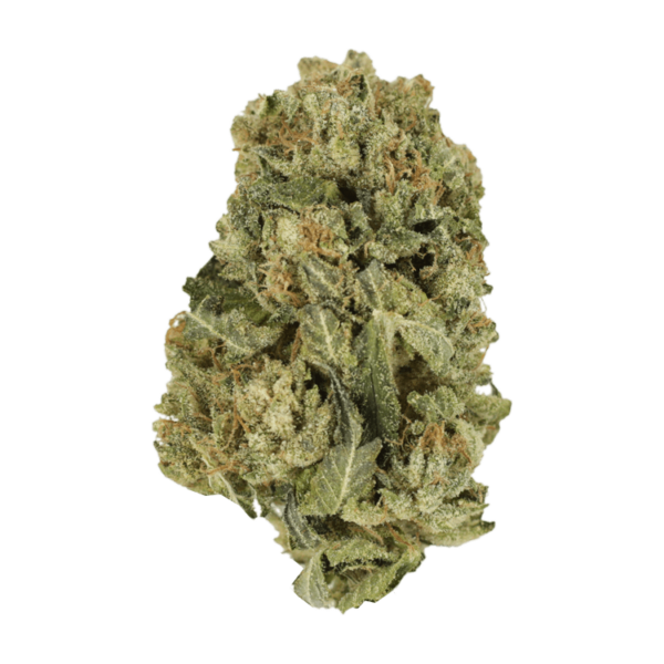 Black Domina | Haute Health Canada