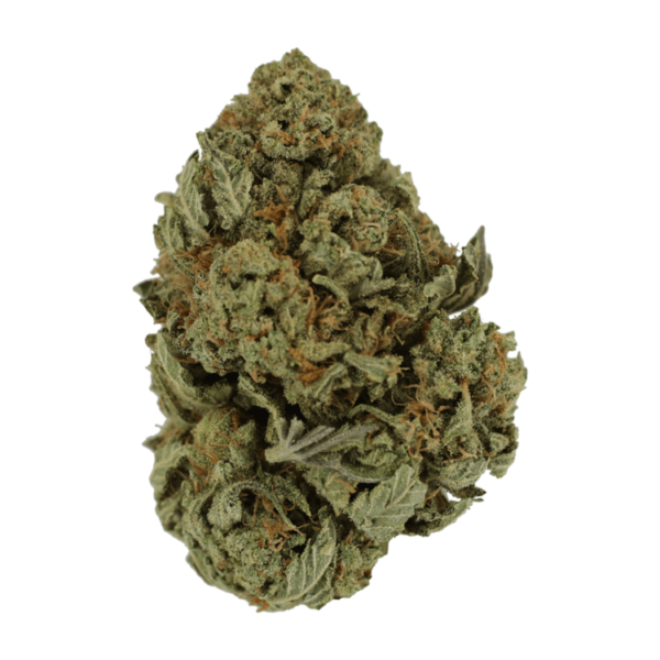 Master Kush Ultra | Haute Health Canada