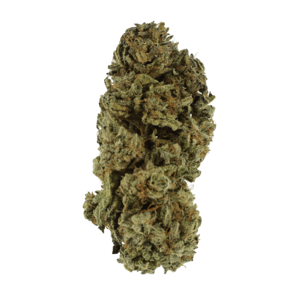 Black Kush – 1 ounce | Haute Health Canada