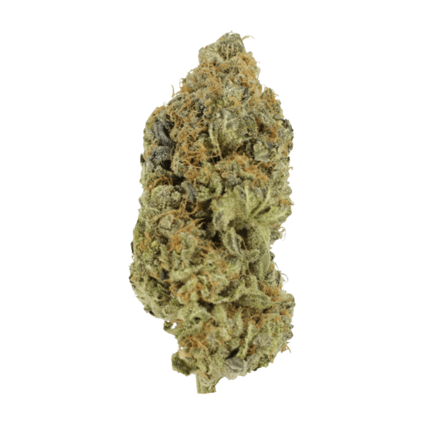 Critical Widow | Haute Health Canada