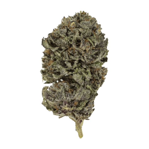 Purple Skunk | Haute Health Canada