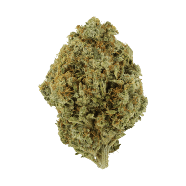 Orange Barb | Haute Health Canada