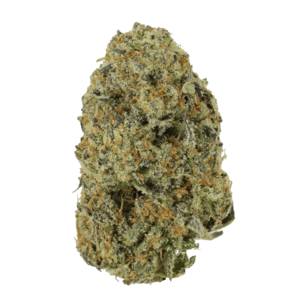 Northern Haze Express | Haute Health Canada