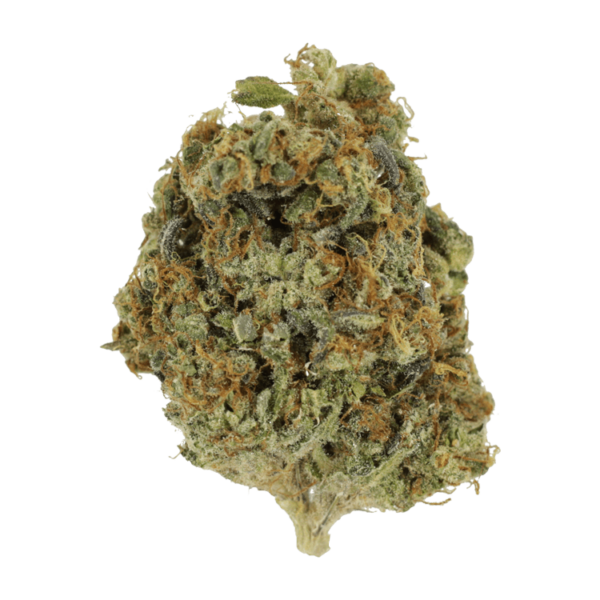 Sunset Sherbert | Haute Health Canada