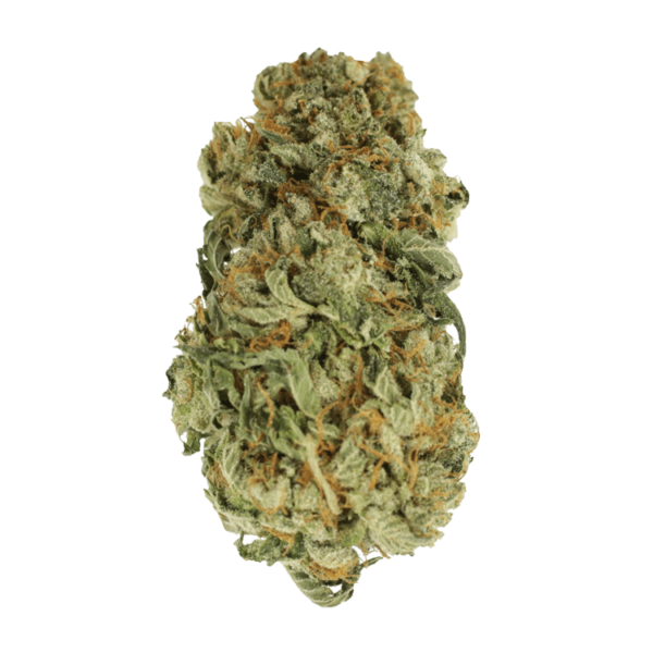 King Louis – 1 ounce | Haute Health Canada