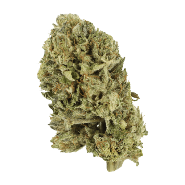 Purple OG Kush – 1 ounce | Haute Health Canada