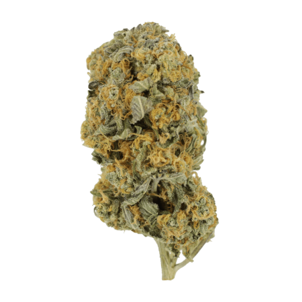 Sour Prince | Haute Health Canada