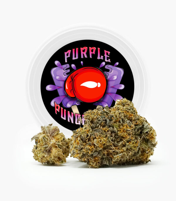 Westcoast Cali Tins – Premium Flower – Purple Punchsicle – 14g | Haute Health Canada