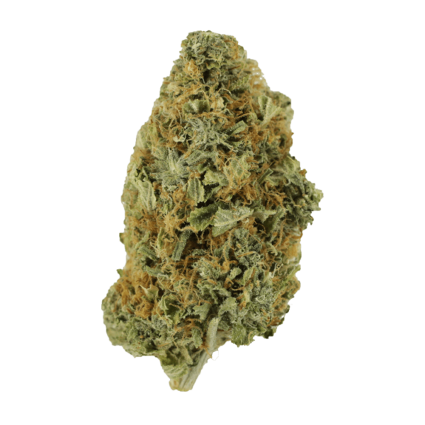 Purple Tuna – 1 ounce | Haute Health Canada