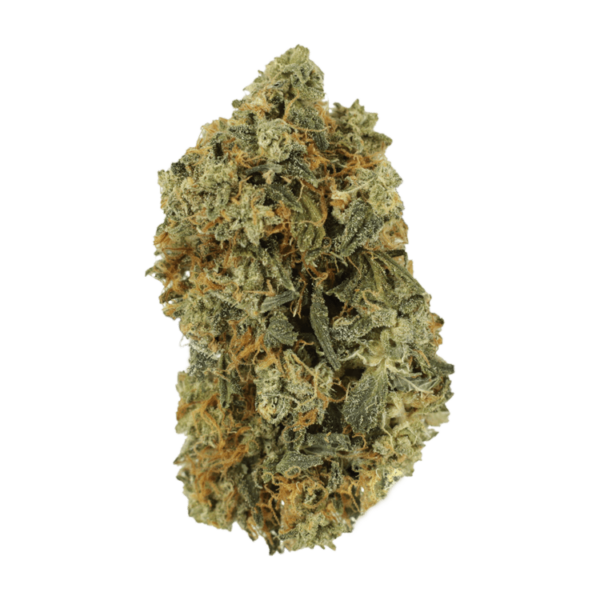 Blackwater | Haute Health Canada