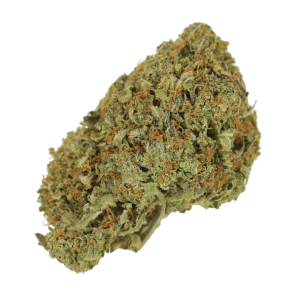 Garlic Breath – 1oz / $60 | Haute Health Canada