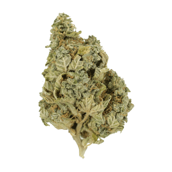 Khalifa Kush | Haute Health Canada