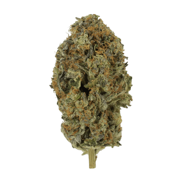 Acapulco Gold | Haute Health Canada