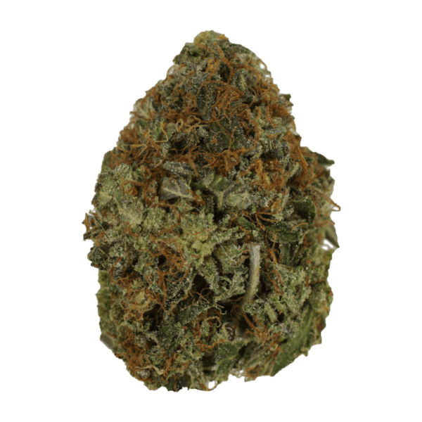 Orange Romulan | Haute Health Canada