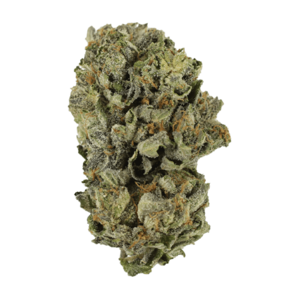 Cerebro Haze | Haute Health Canada