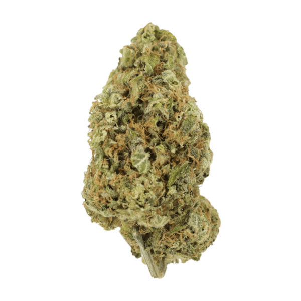 Sour Jack | Haute Health Canada