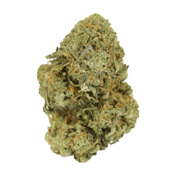 Watermelon Gelato | Haute Health Canada