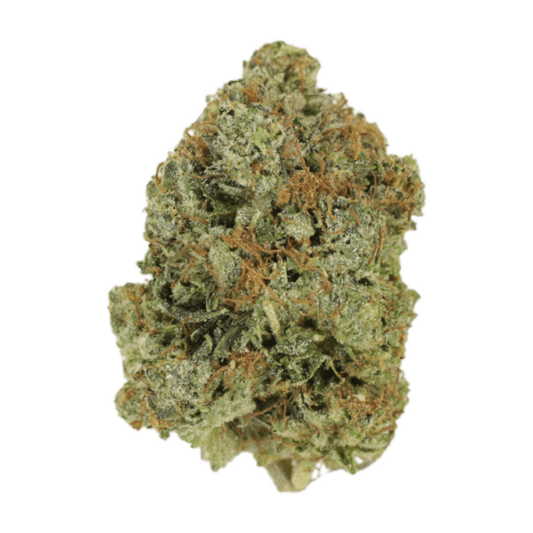 Jack Herer (popcorn) | Haute Health Canada