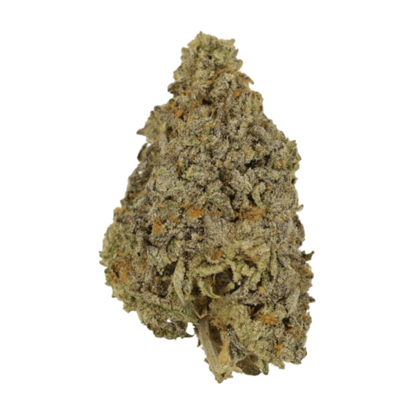 Frosty Gelato | Haute Health Canada