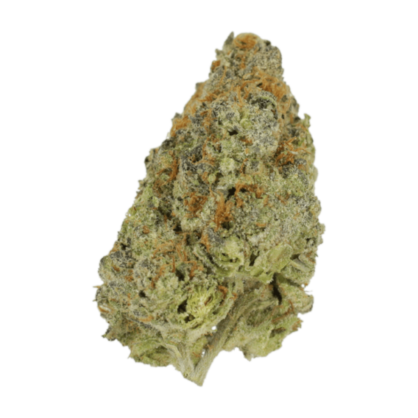 Lilac Diesel | Haute Health Canada