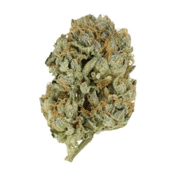 Kashmir Kush | Haute Health Canada