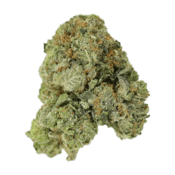 White Russian | Haute Health Canada